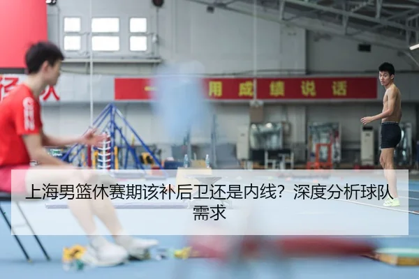 上海男篮休赛期该补后卫还是内线？深度分析球队需求